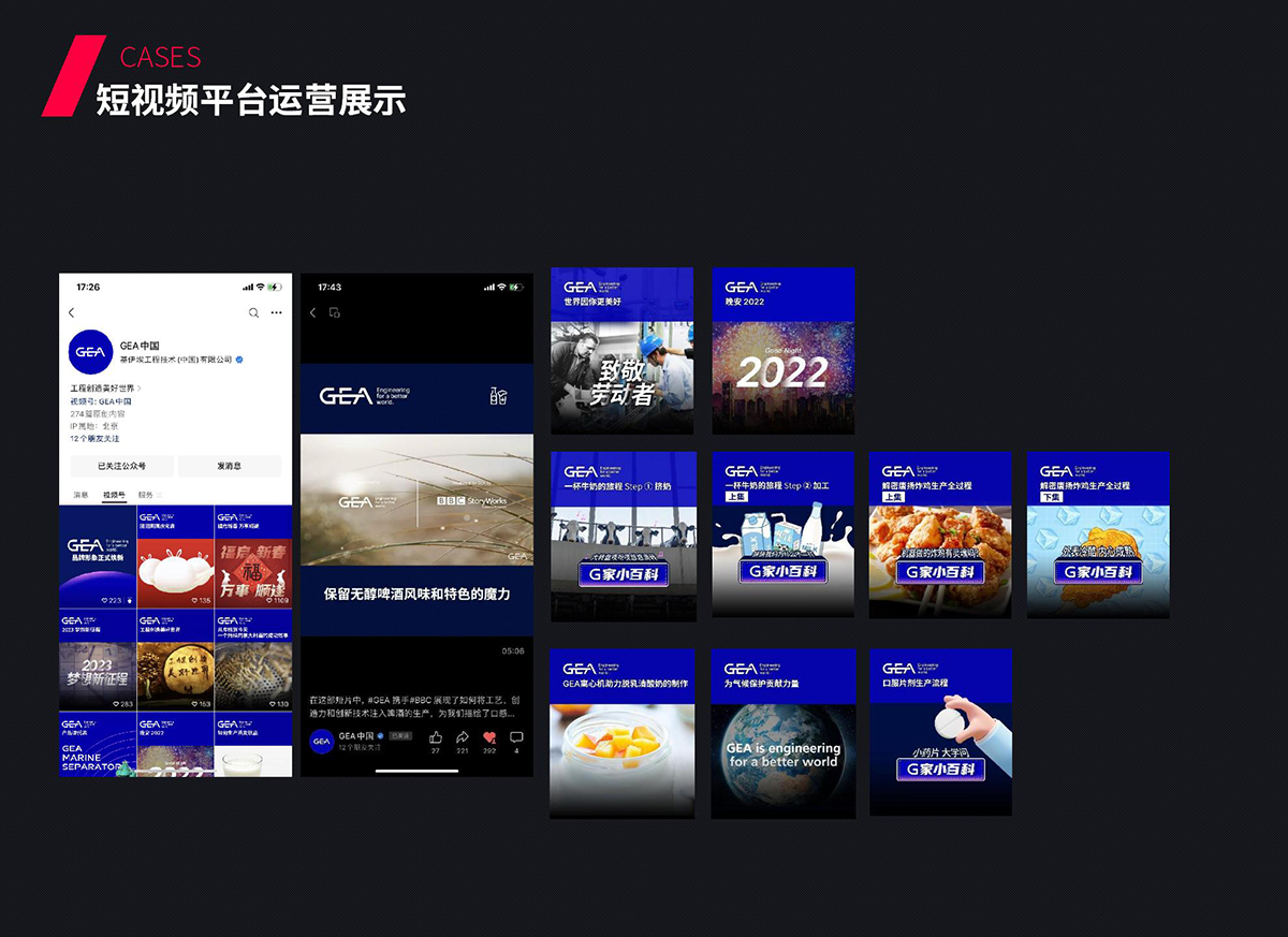 短视频平台运营展示