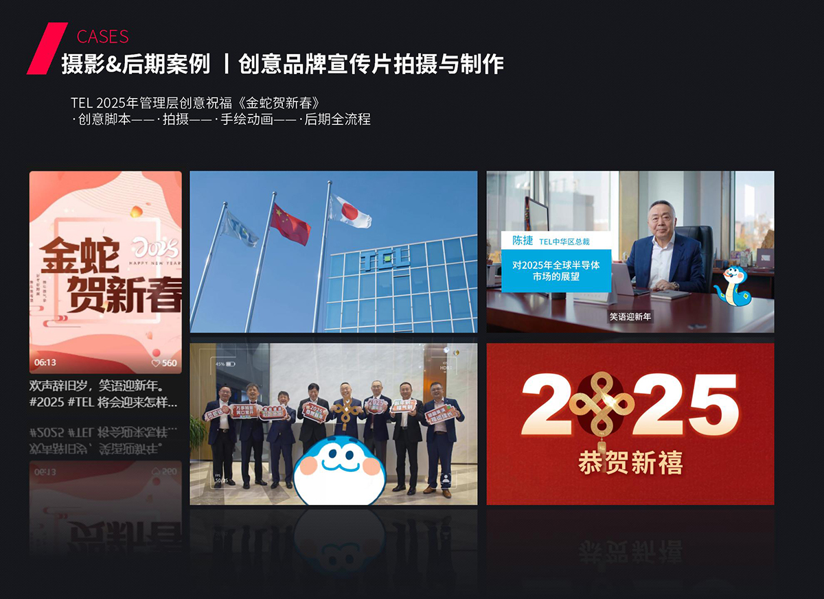 TEL 2025年管理层创意祝福《金蛇贺